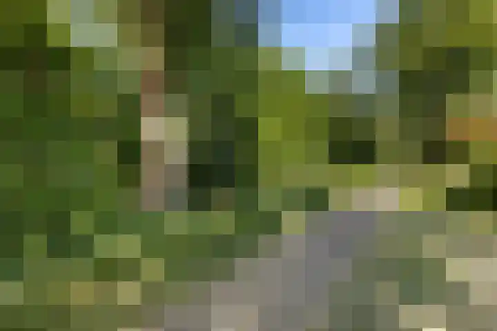 Bijsterveldenlaan 63 Tilburg thumbnail 39