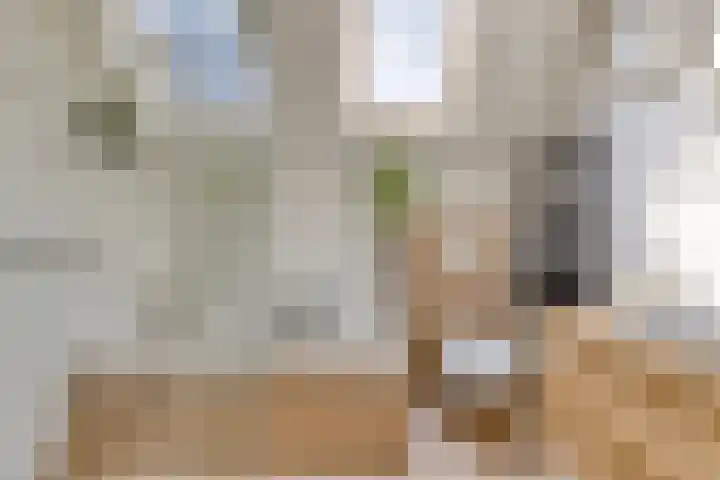 Bijsterveldenlaan 63 Tilburg thumbnail 4