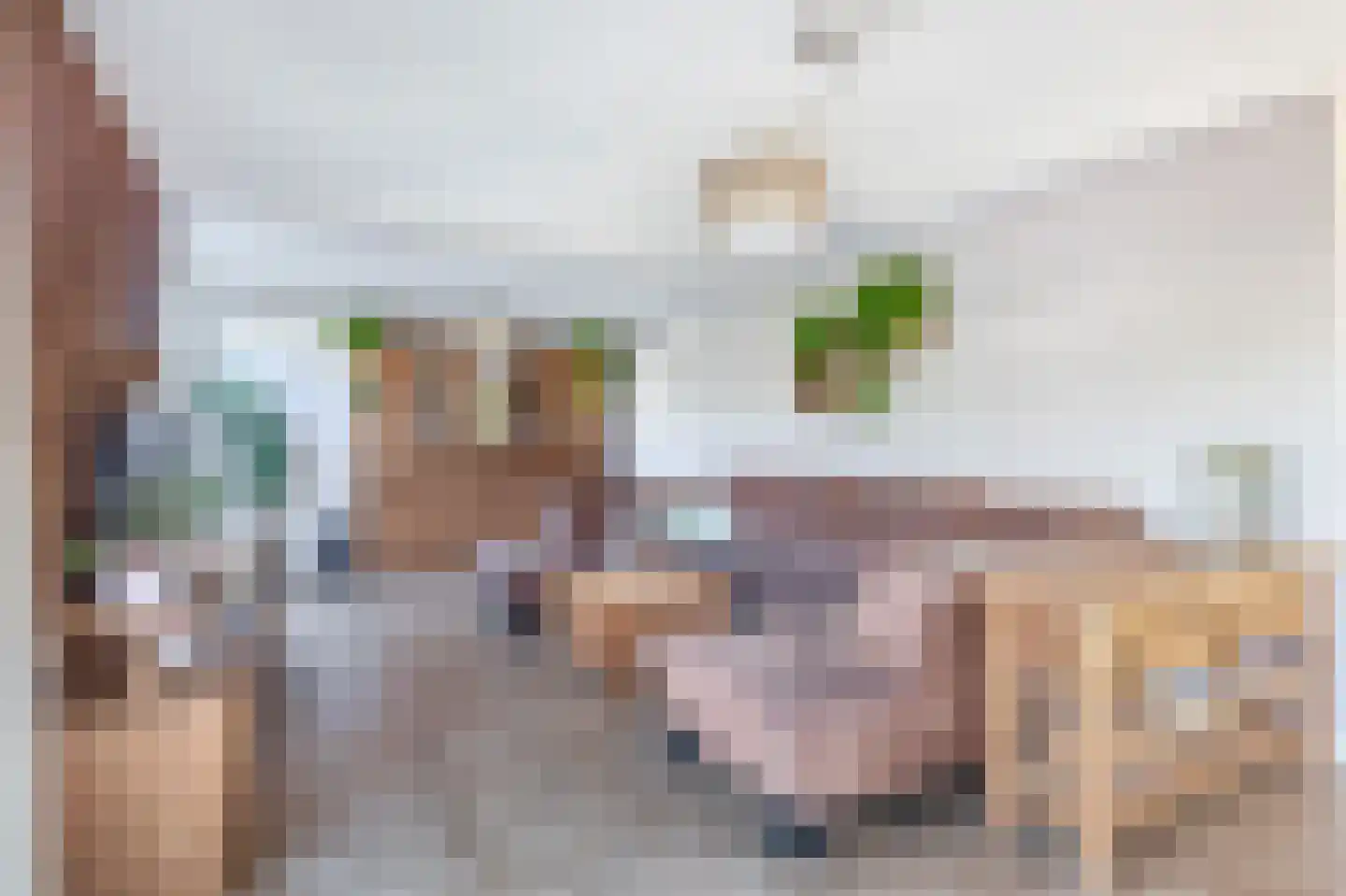 Bijvancksingel 22 Spijkenisse thumbnail 18
