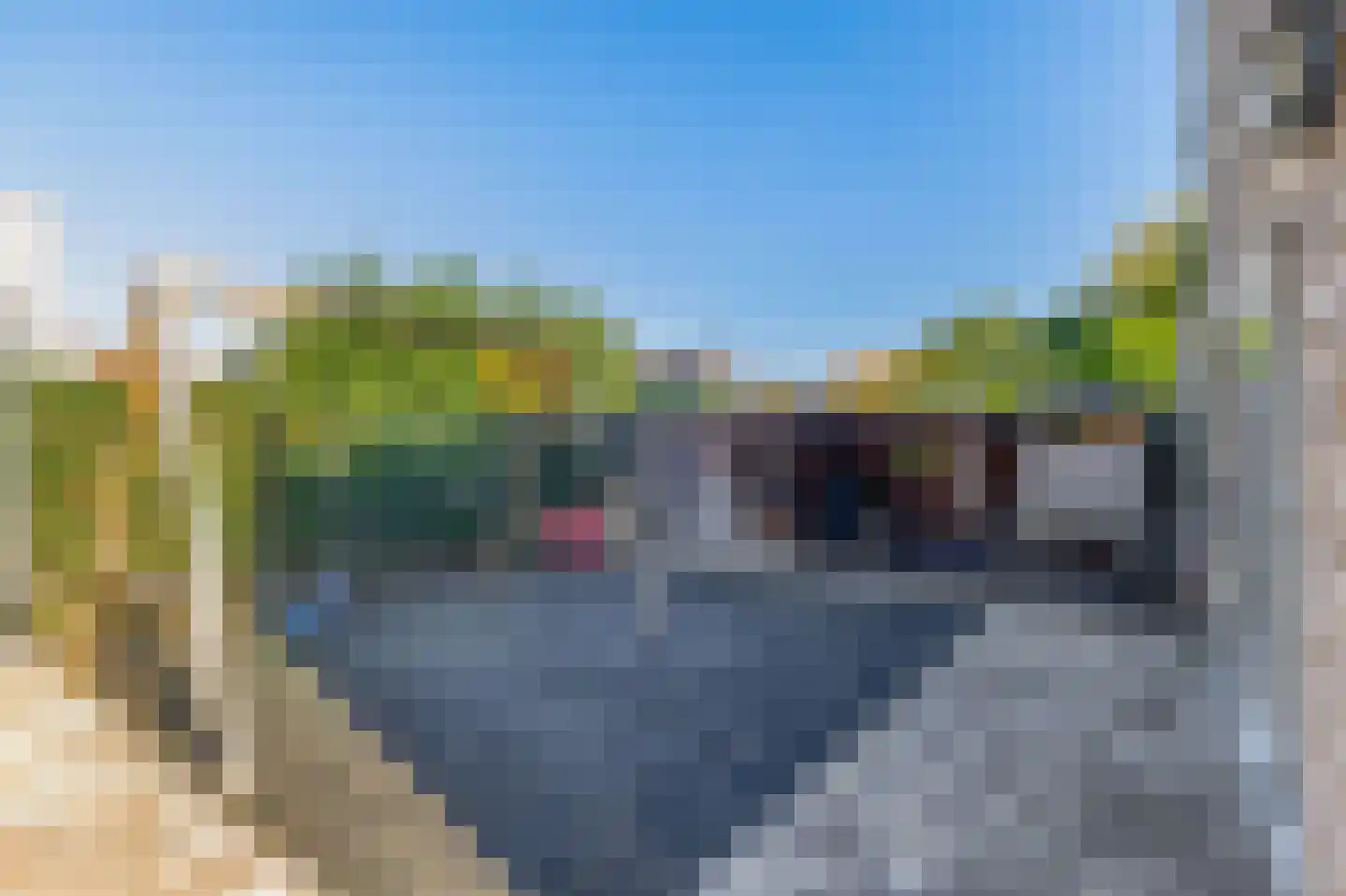 Bijvancksingel 22 Spijkenisse thumbnail 30