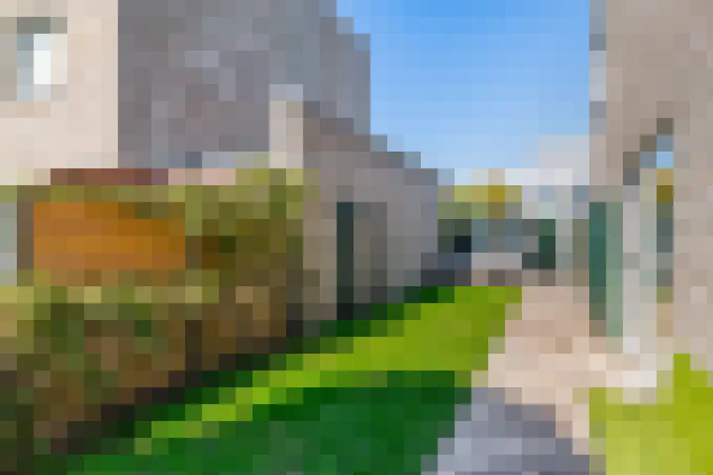 Bijvancksingel 22 Spijkenisse thumbnail 36