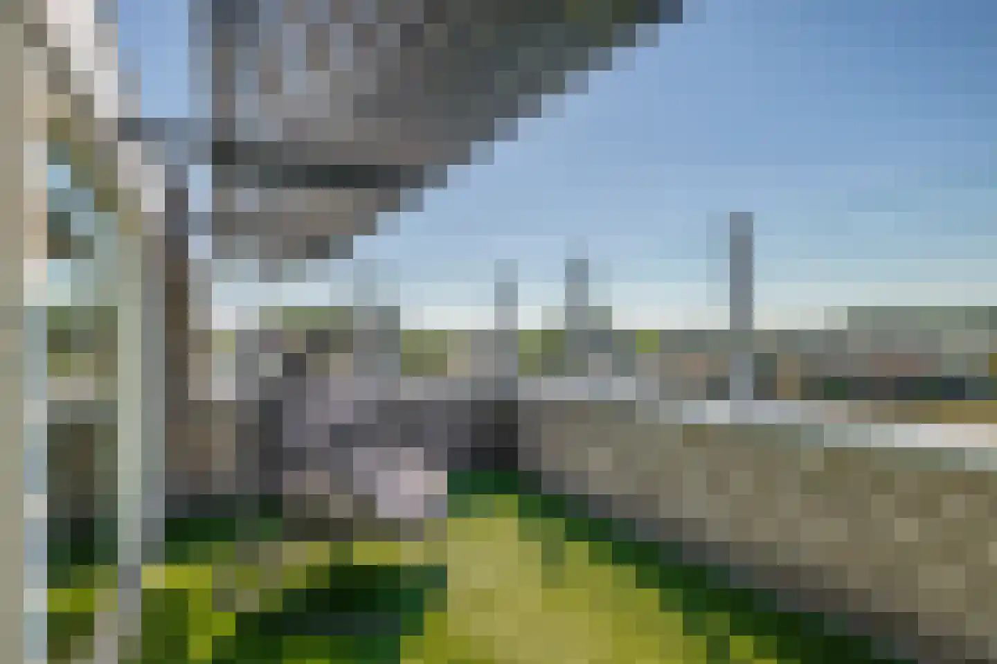 Bijvancksingel 22 Spijkenisse thumbnail 51