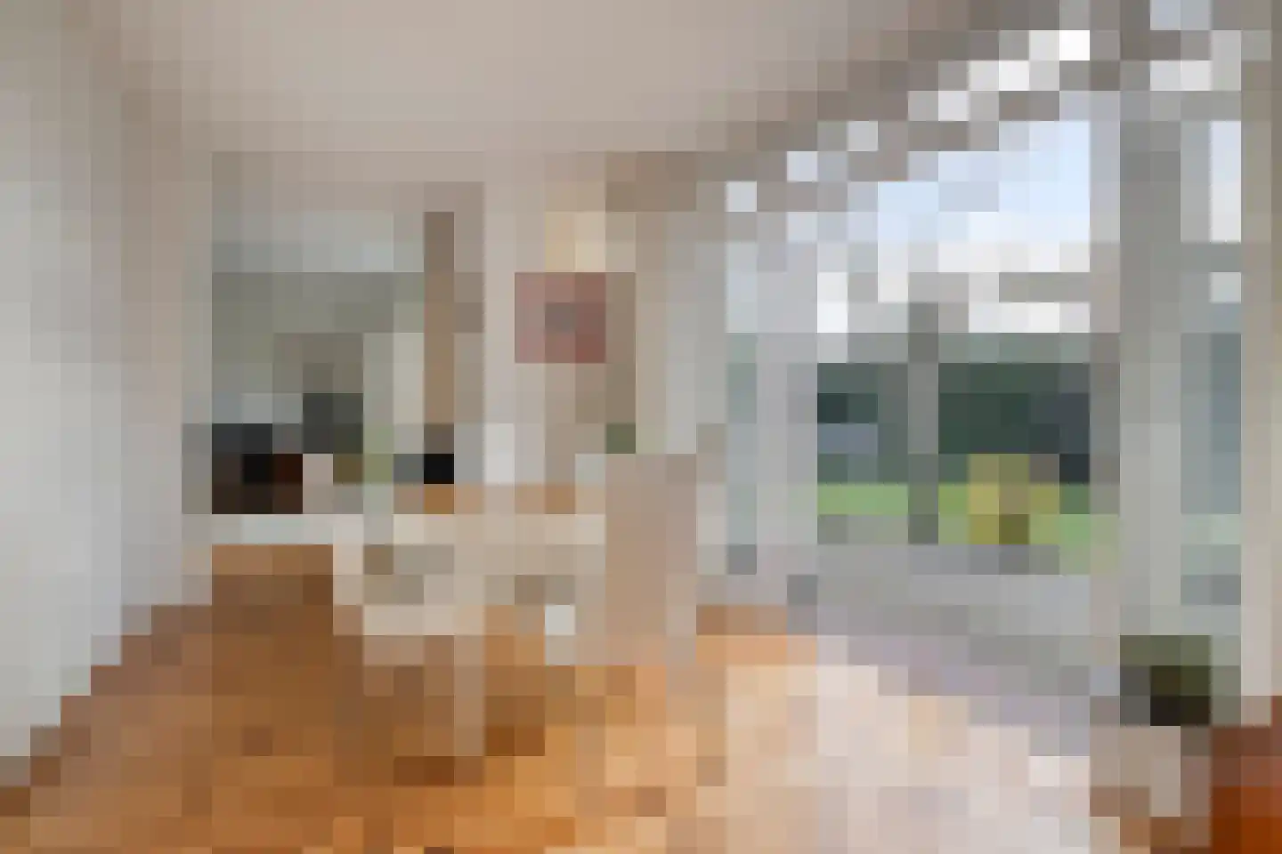 Bijvanckstraat 6 Oldenzaal thumbnail 10