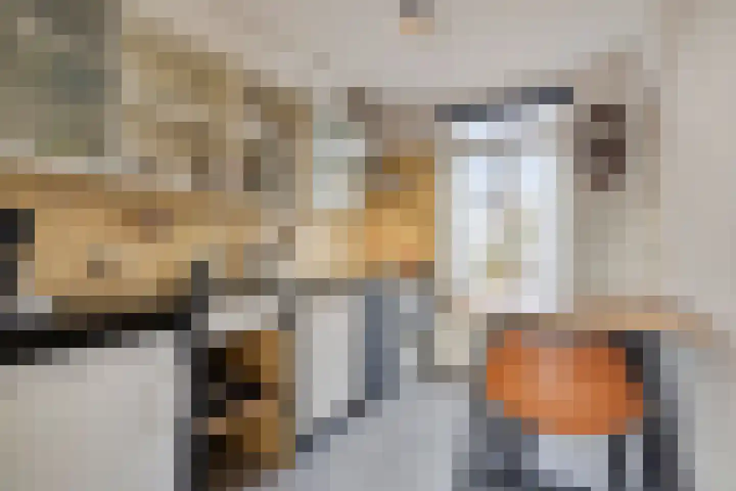 Bijvanckstraat 6 Oldenzaal thumbnail 13
