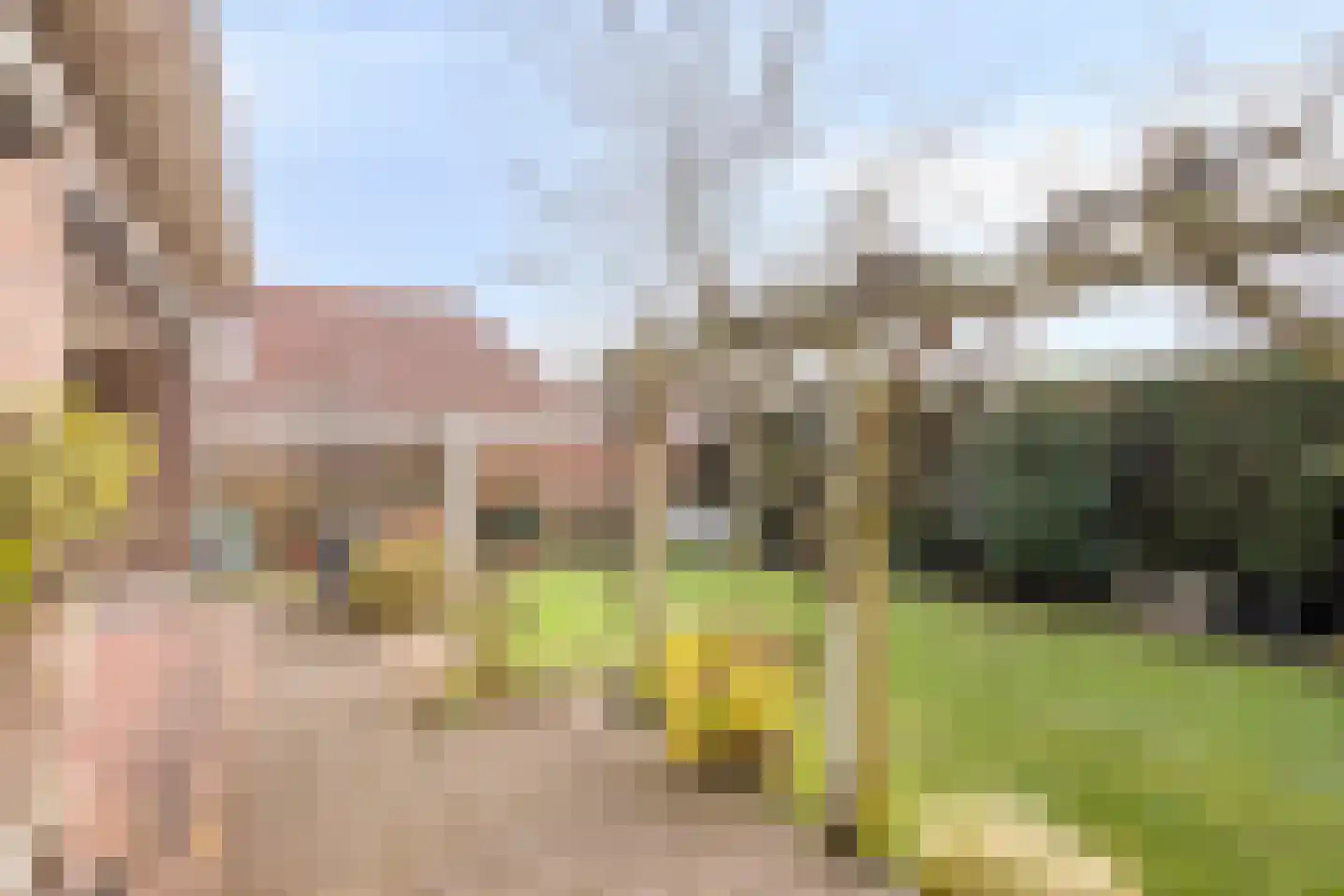 Bijvanckstraat 6 Oldenzaal thumbnail 31