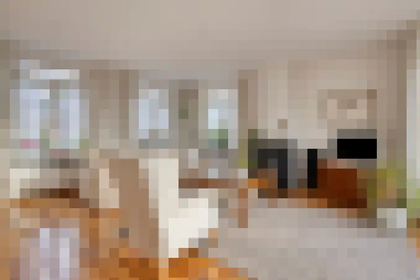 Bijvanckstraat 6 Oldenzaal thumbnail 4