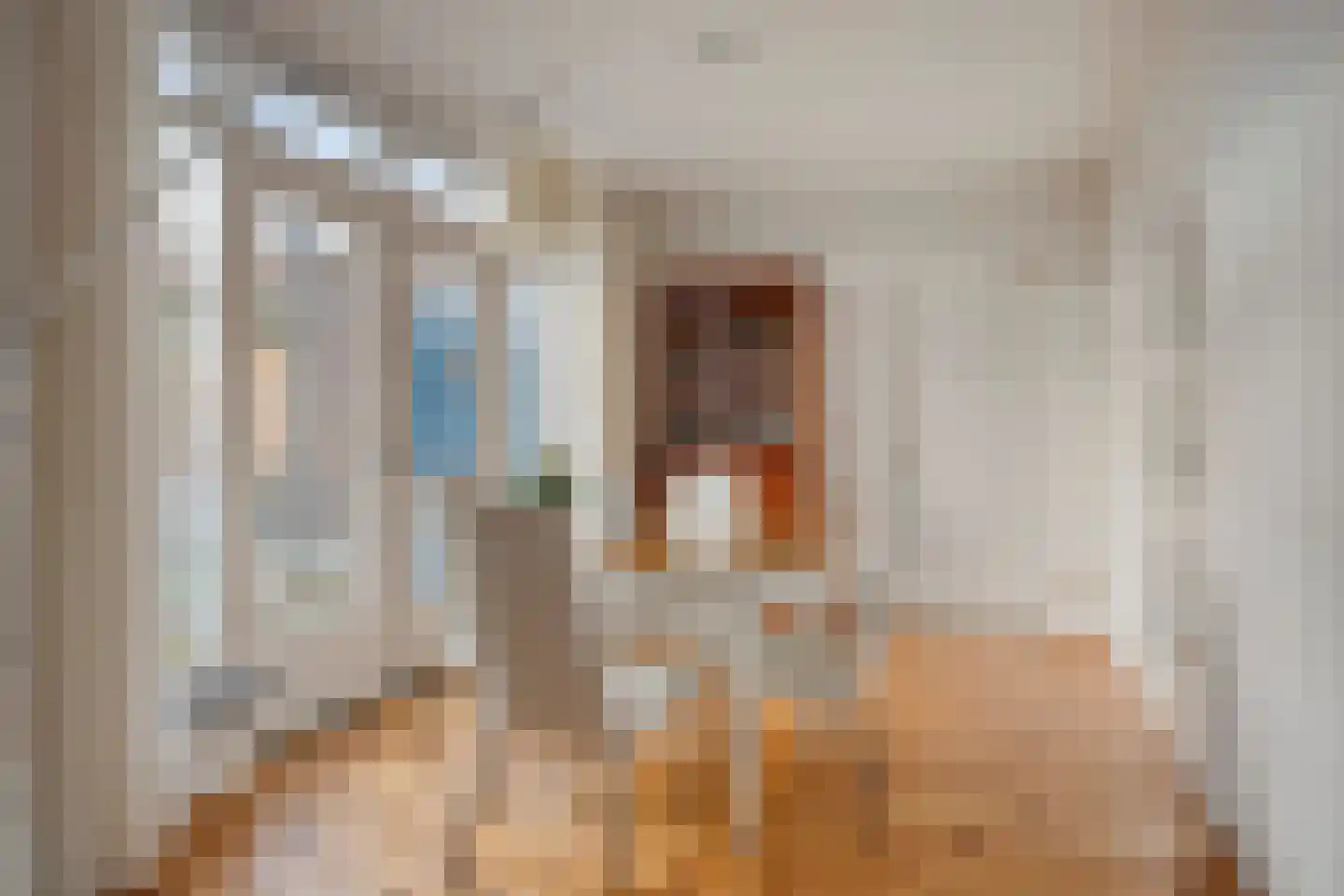 Bijvanckstraat 6 Oldenzaal thumbnail 9