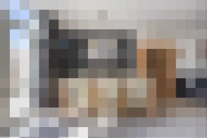 Bijvang 11 Breda thumbnail 13