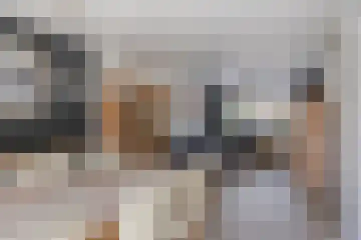 Bijvang 11 Breda thumbnail 14