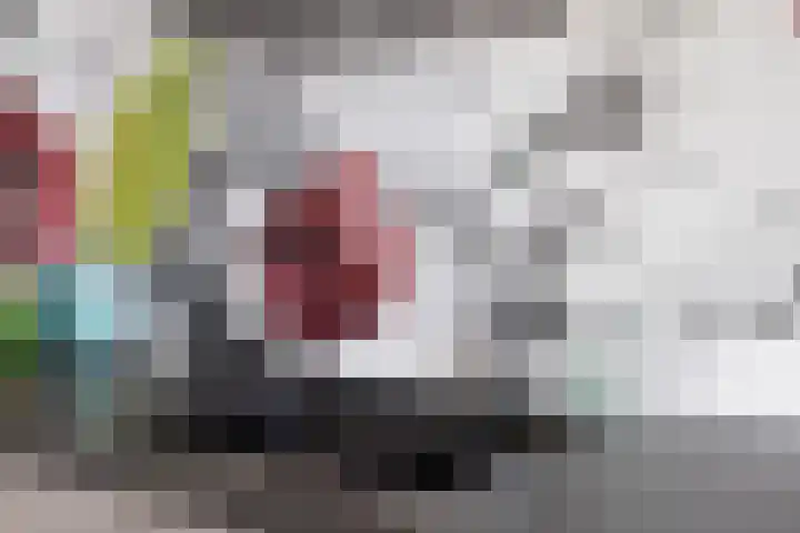 Bijvang 11 Breda thumbnail 17
