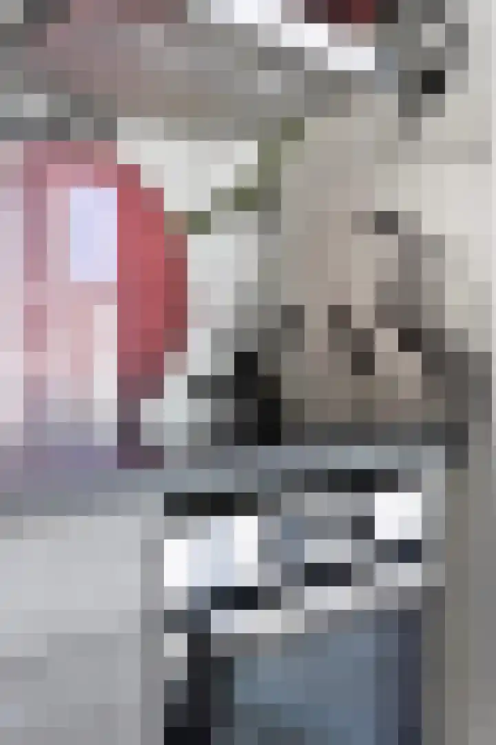 Bijvang 11 Breda thumbnail 18