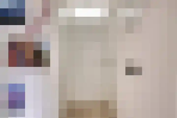 Bijvang 11 Breda thumbnail 21