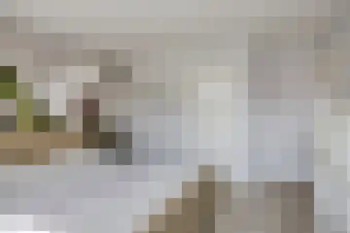 Bijvang 11 Breda thumbnail 23