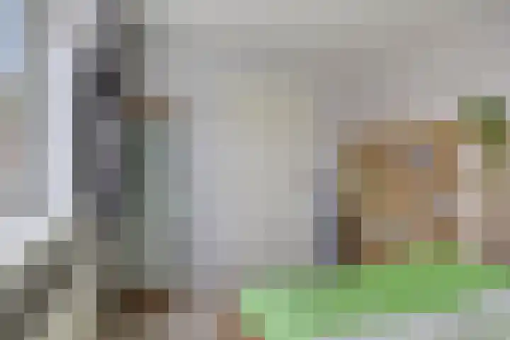 Bijvang 11 Breda thumbnail 31