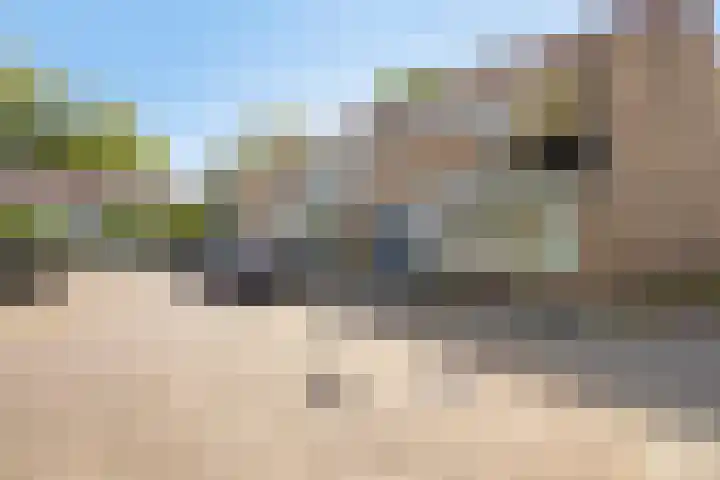 Bijvang 11 Breda thumbnail 39