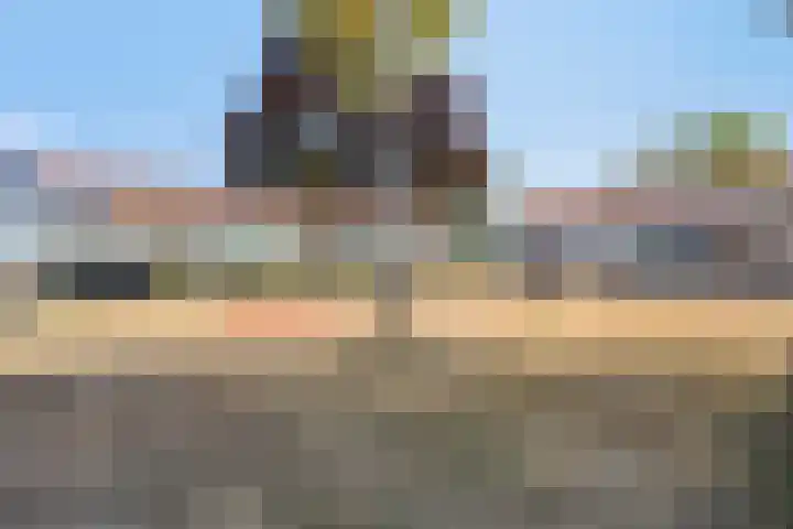 Bijvang 11 Breda thumbnail 41
