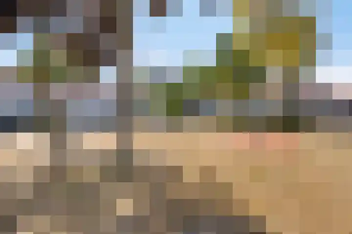 Bijvang 11 Breda thumbnail 42