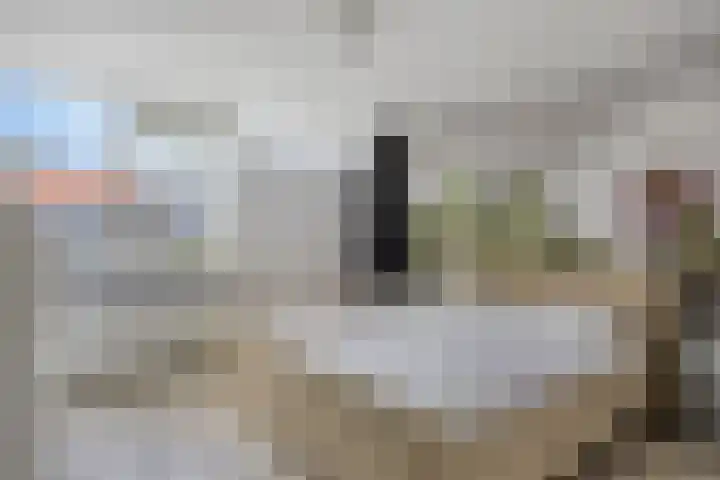 Bijvang 11 Breda thumbnail 5