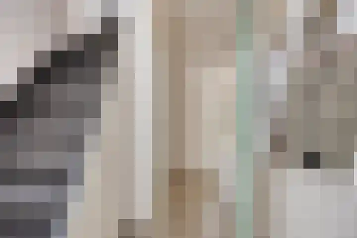 Bijvang 11 Breda thumbnail 7