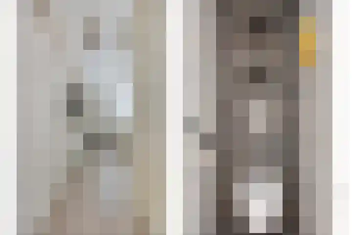 Bijvang 11 Breda thumbnail 9