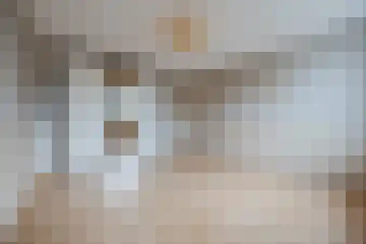 Bijvang 2 Breda thumbnail 13