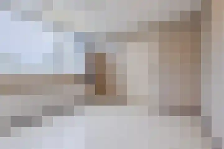 Bijvang 2 Breda thumbnail 15