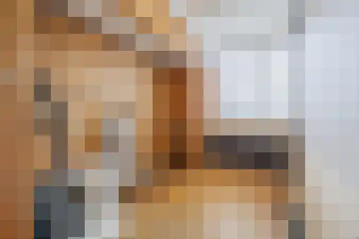 Bijvang 2 Breda thumbnail 17