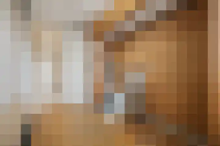 Bijvang 2 Breda thumbnail 18