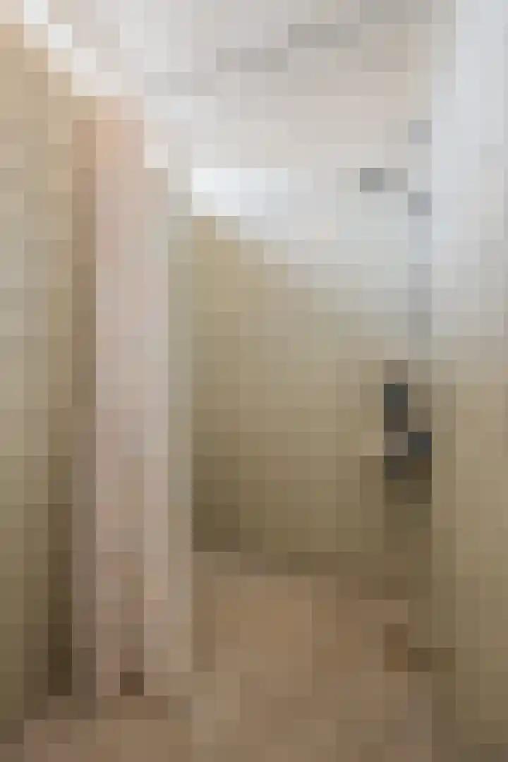 Bijvang 2 Breda thumbnail 20