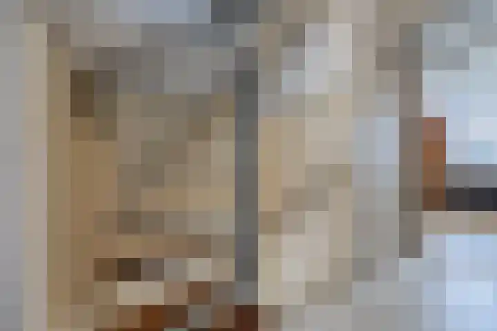 Bijvang 2 Breda thumbnail 21