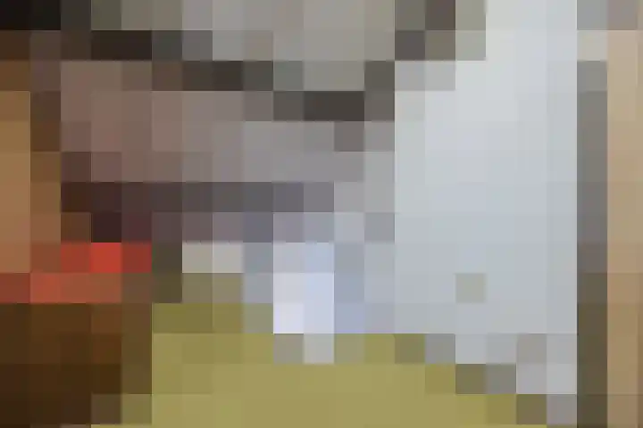 Bijvang 2 Breda thumbnail 22
