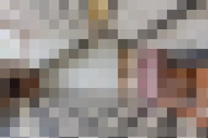 Bijvang 2 Breda thumbnail 24