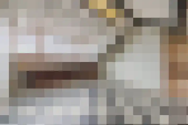 Bijvang 2 Breda thumbnail 25