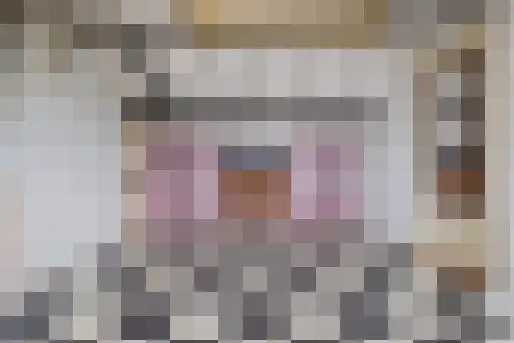 Bijvang 2 Breda thumbnail 26