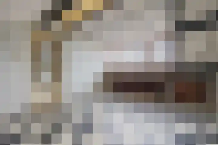 Bijvang 2 Breda thumbnail 27