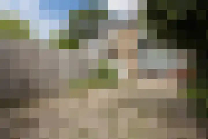 Bijvang 2 Breda thumbnail 28