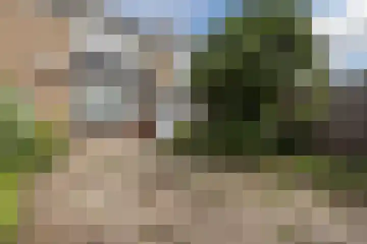 Bijvang 2 Breda thumbnail 29