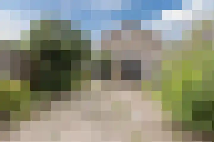 Bijvang 2 Breda thumbnail 30