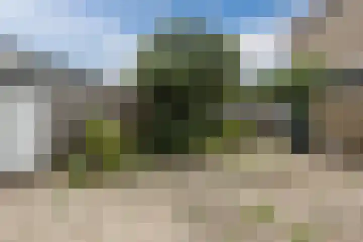 Bijvang 2 Breda thumbnail 31