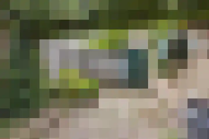 Bijvang 2 Breda thumbnail 32