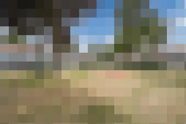 Bijvang 2 Breda thumbnail 34
