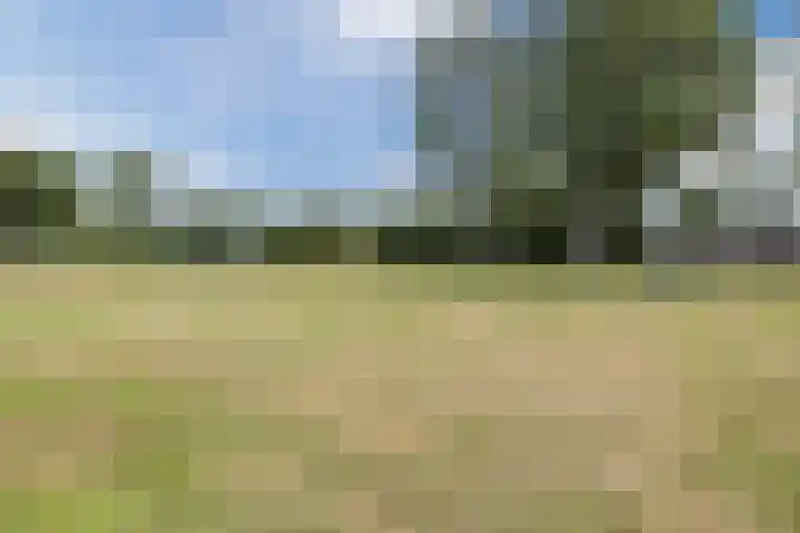 Bijvang 2 Breda thumbnail 35