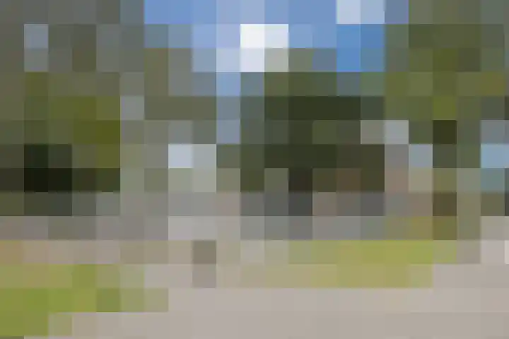 Bijvang 2 Breda thumbnail 36