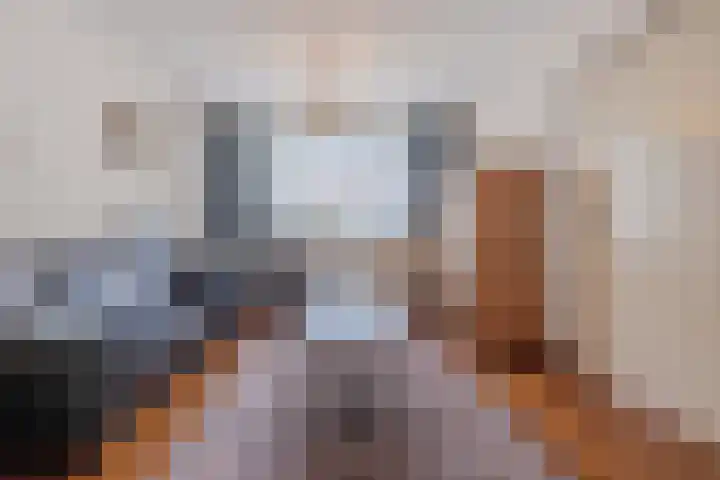 Bijvang 2 Breda thumbnail 5