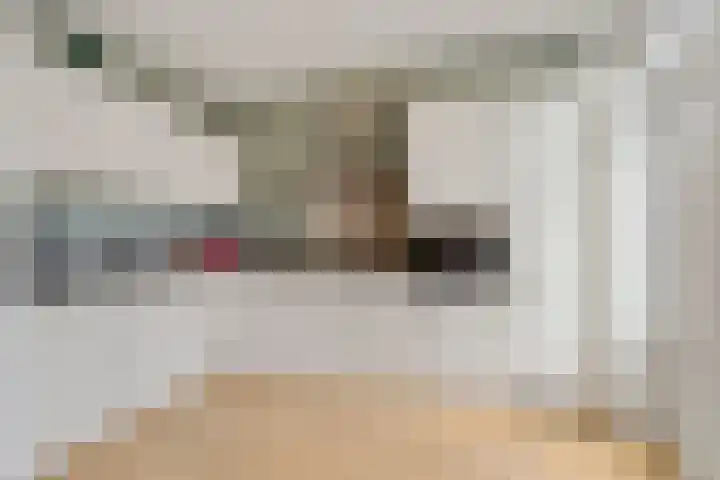 Bijvang 26 Breda thumbnail 16
