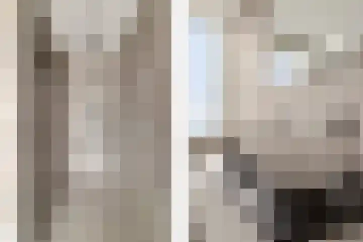 Bijvang 26 Breda thumbnail 19