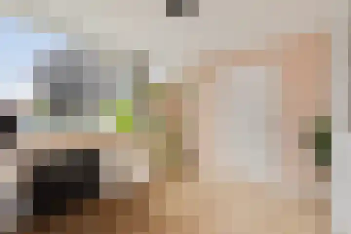 Bijvang 26 Breda thumbnail 22