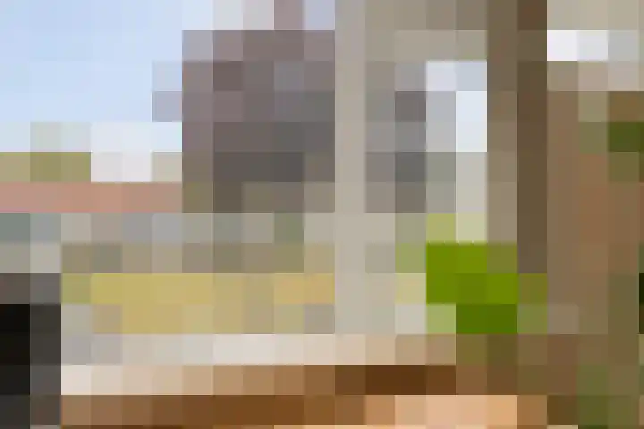 Bijvang 26 Breda thumbnail 23