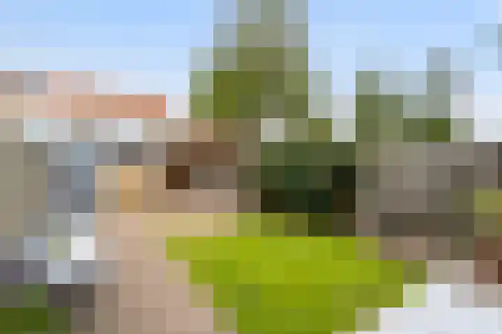 Bijvang 26 Breda thumbnail 30