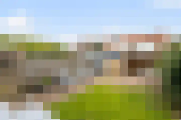 Bijvang 26 Breda thumbnail 31